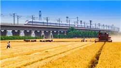 单日急跌近百点，A股震荡何时休？资金抄底创业板人工智能，低位食饮、港股AI韧性凸显