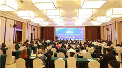 要素匹配最接近国内，人形海外集群重镇——泰国专题