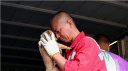 奥地利军官：俄军或“即将突破防线”