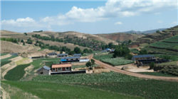 老铺黄金与泡泡玛特Labubu：跨赛道营销策略对比