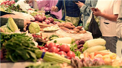 容百科技钠电材料全球布局提速 技术突破驱动千亿市场