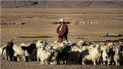 Heidi医疗获6500万美元B轮融资，史蒂夫・科恩旗下Point72领投