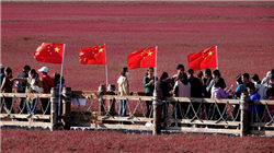 陈小江任新疆维吾尔自治区党委书记，马兴瑞不再兼任，另有任用