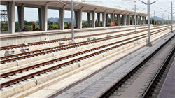 “不要国王！”抗议席卷全美，示威者涌入街头与警方发生冲突