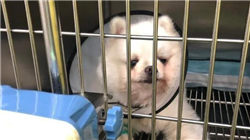 1天4笔“大并购”，金额超800亿美元！美国“并购狂潮”逼近历史记录