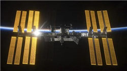 【建投观察】11月农产品：原木-豆粕-苹果