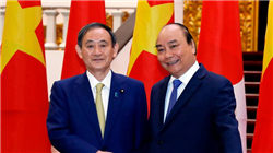 6月的美国市场：烈火烹油，鸡犬升天