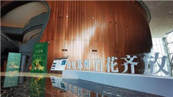 丁士启会见人保财险安徽省分公司党委书记、总经理李冰凌一行