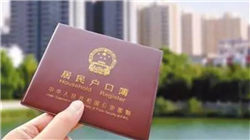 2024年我国移动物联网综合收入达452.71亿元