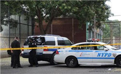 明日复牌！002806拟易主，74岁女掌门“放手”