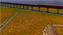 中国人民银行副行长陆磊：积极推进大湾区二维码跨境扫码支付项目