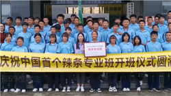 台风过后北海甘蔗受灾情况