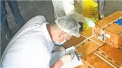 中信证券港股市场2025年下半年投资策略：三重叙事，反转延续