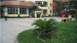 炸裂！小鹏汽车、小米汽车、零跑......10月交付量最新出炉！