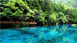 “双11”飞天茅台零售价趋稳，公司前三季营收同比增长6.32%