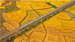 娃小宗官号0内容涨粉6000，宗馥莉大量申请新商标，宗泽后：水军害了她，已无法回头