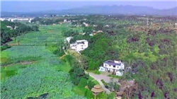 现金告急？合盛硅业买货不收货、收货不结款，遭天通股份怒告