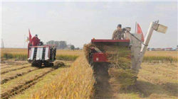 黄金变盘窗口开启！机构正悄悄布局，散户紧盯这三个信号