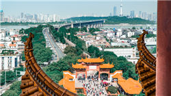 名酒基因与数智赋能深度融合，古井贡酒如何完成“1+1＞2”？