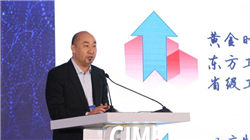 涛涛车业06月11日继续上涨，股价创历史新高