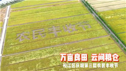 新消费股，“狂欢”之余有分歧