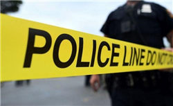 刘瑜获准担任中意资产董事