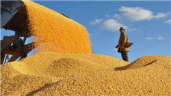 洲际油气拟8.48亿美元投资伊拉克一油田项目