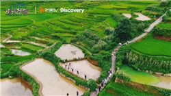 保诚回购52万股 金额434万英镑