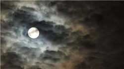 金价突然反攻！A股上半年超3700股上涨