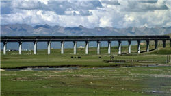 中国银行助力第八届中国国际进口博览会贸易投资对接会成功举办