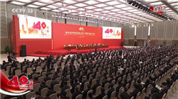 大幅增持股票！37万亿元险资投向这些领域→