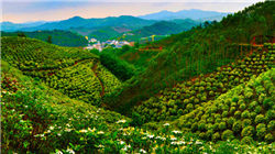 “大空头”反水？电影原型惊人表态：美国债务根本不是问题！