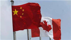 四连阴！蛋价会流畅下跌吗？