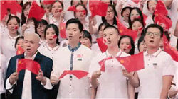 买时容易理赔难，宠物保险为何投诉频发？