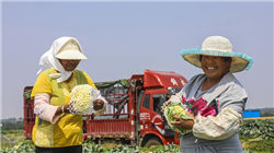 巴菲特透露决定卸任CEO真实原因：开始接受衰老