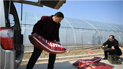 “世界毯王”真爱美家将易主AI企业 业绩已连续两年负增长