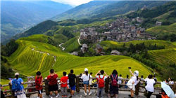 炒完算力炒存储？今年AI盛宴的超级“爆款”：希捷、西数雄霸美股