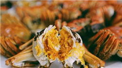 美储12月降息预期再降温 金价继续区间震荡