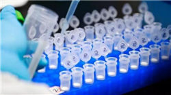 张永伟：专用车应该在商用车基础上做加法，打造高附加值蓝海市场